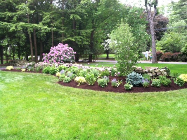 Lush garden bed with pink blossoms, green shrubs, and a curved border in a grassy park.
