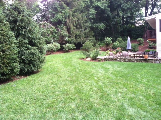 Lush backyard lawn bordered by trees, with a patio seating area and umbrella on the right.