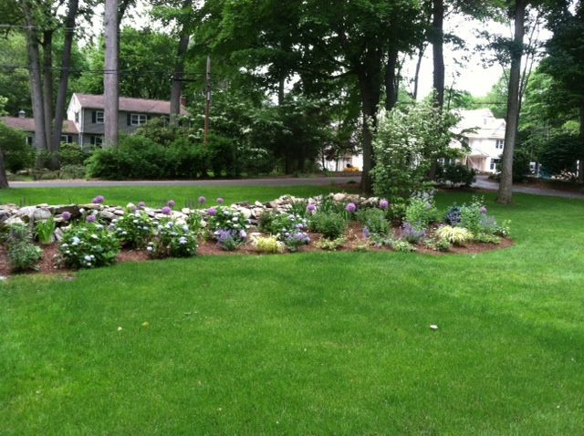 Lush green lawn with a flower bed of pink, purple, and white blooms beneath tall trees in a park