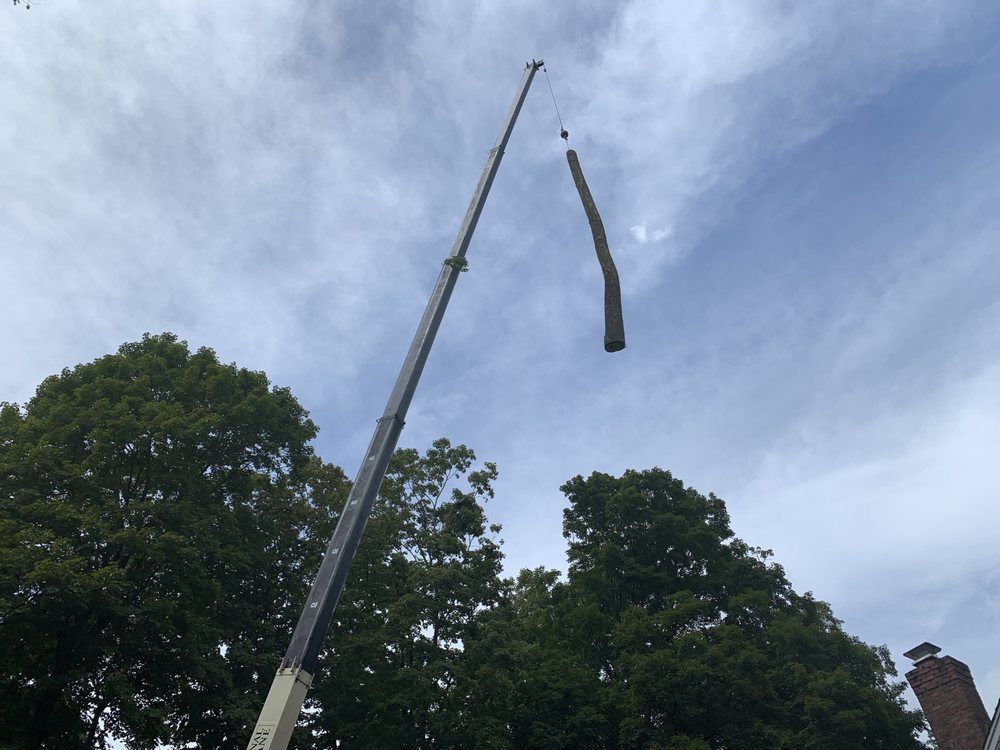 Crane lifting a long, bent metal beam against a cloudy sky, with trees below.