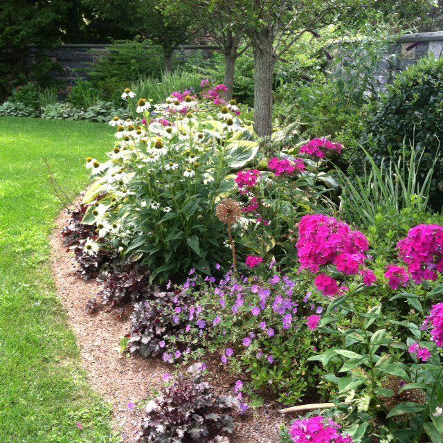 Curved flower bed with pink, white, and purple blooms beside a green lawn and tree