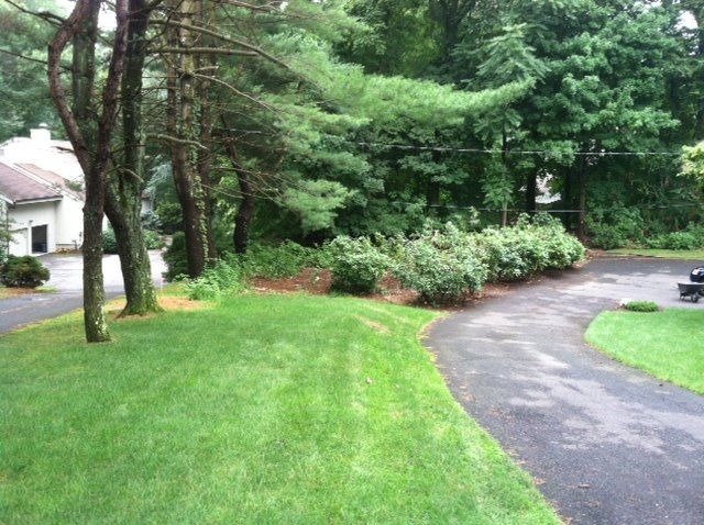 Curved driveway beside a lush green lawn and trees in a suburban yard