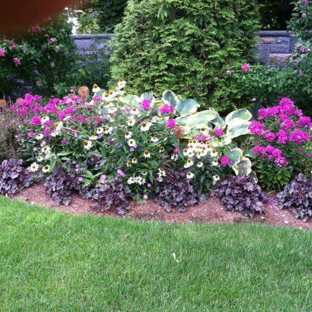 Colorful flower bed with pink, white, and purple blooms along a green lawn