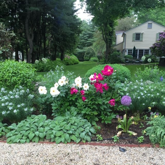 Colorful flower bed with white and pink blooms beside a gravel path in a lush garden, house in background