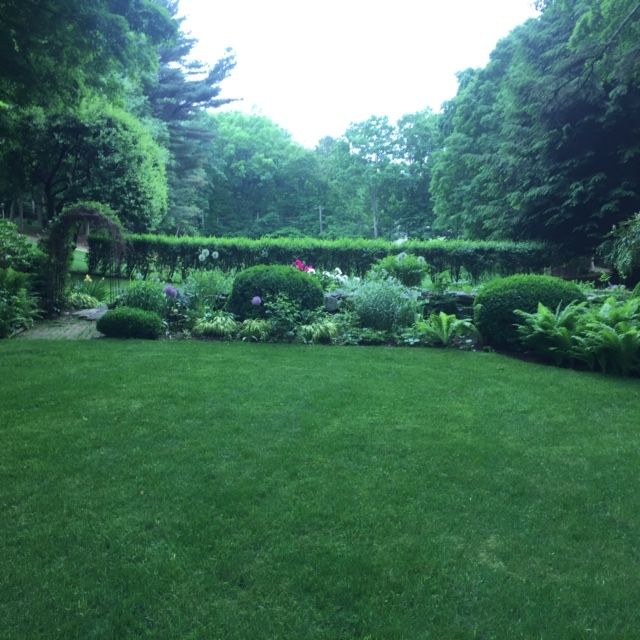 Lush green garden lawn bordered by shrubs and trees under bright daylight