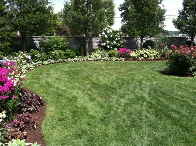 Lush green lawn bordered by colorful flowers and tall trees in a landscaped garden.