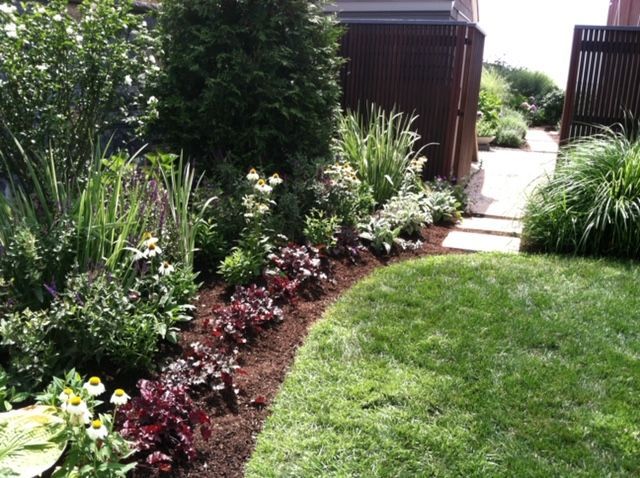 Landscaped garden path beside a green lawn, with flowering shrubs and a wooden fence