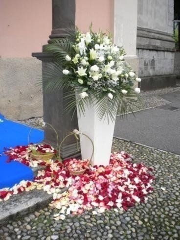 fiori freschi