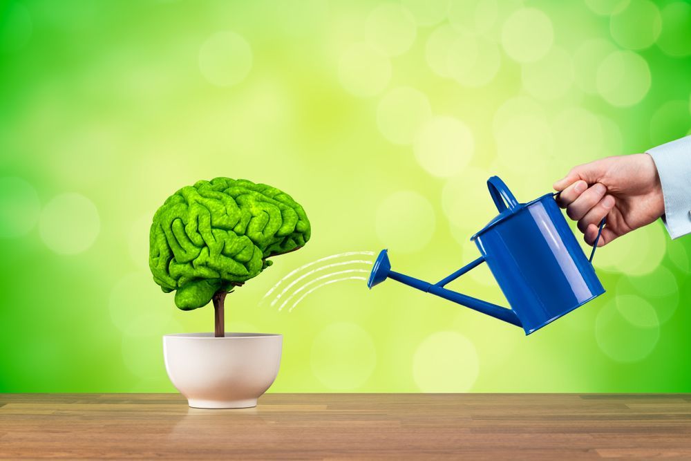 A person is watering a brain in a pot with a watering can.