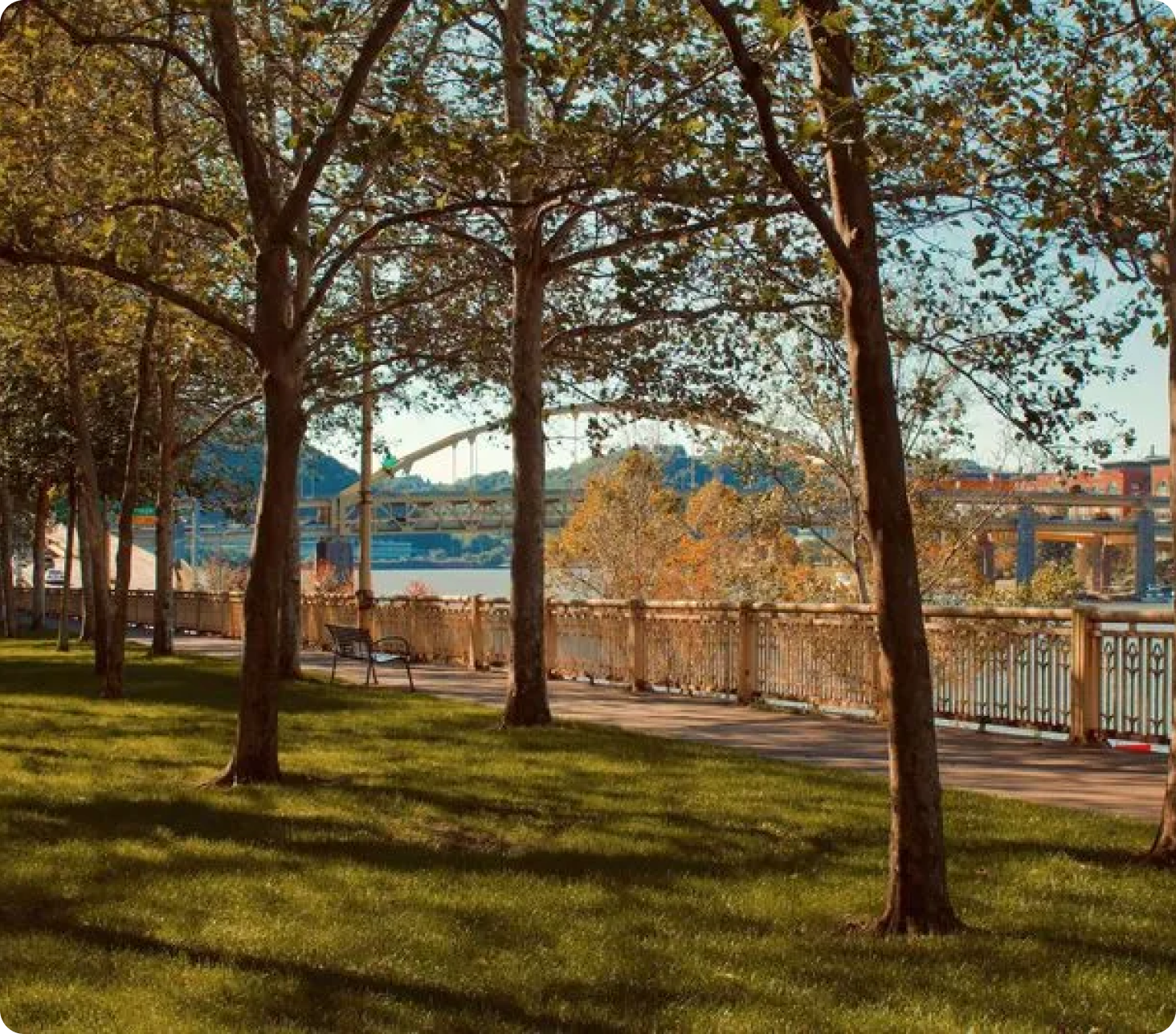 A park with trees and a bench and a bridge in the background