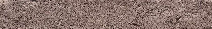 Allspice