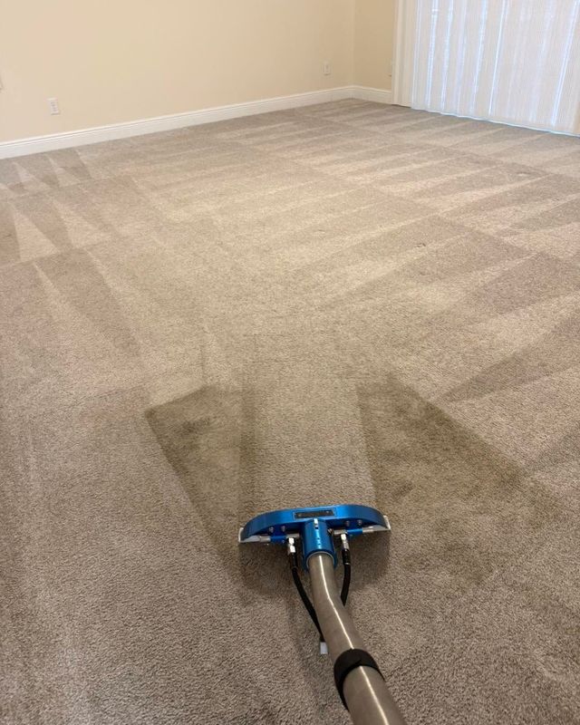 Blue carpet cleaner on beige carpet in an empty room near a wall and curtains