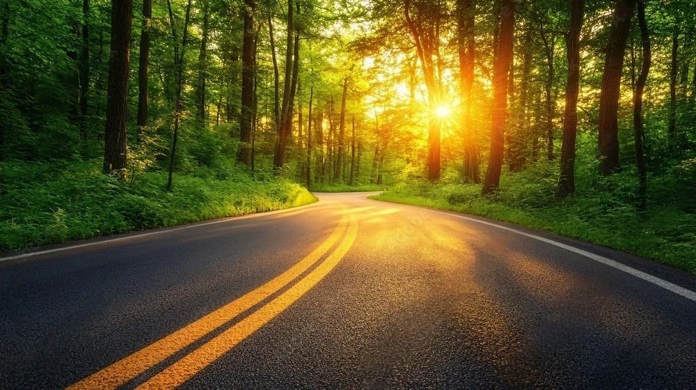 A road going through a forest with the sun shining through the trees.