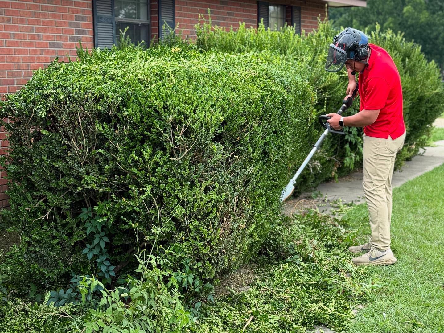 Person trimming a large hedge with an electric trimmer beside a brick house.