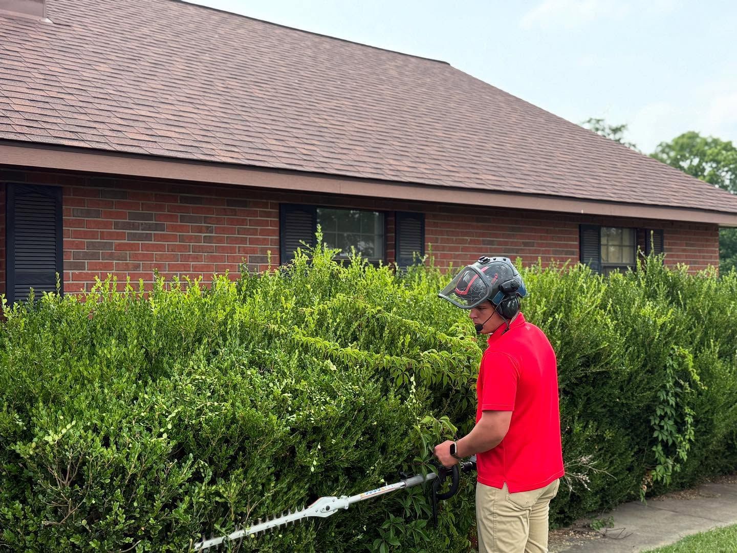 Person using a hedge trimmer to cut tall green bushes beside a brick house.