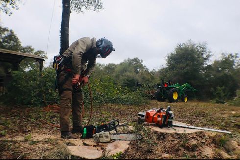 Worker in protective gear stands beside a chainsaw and tools in a wooded area.