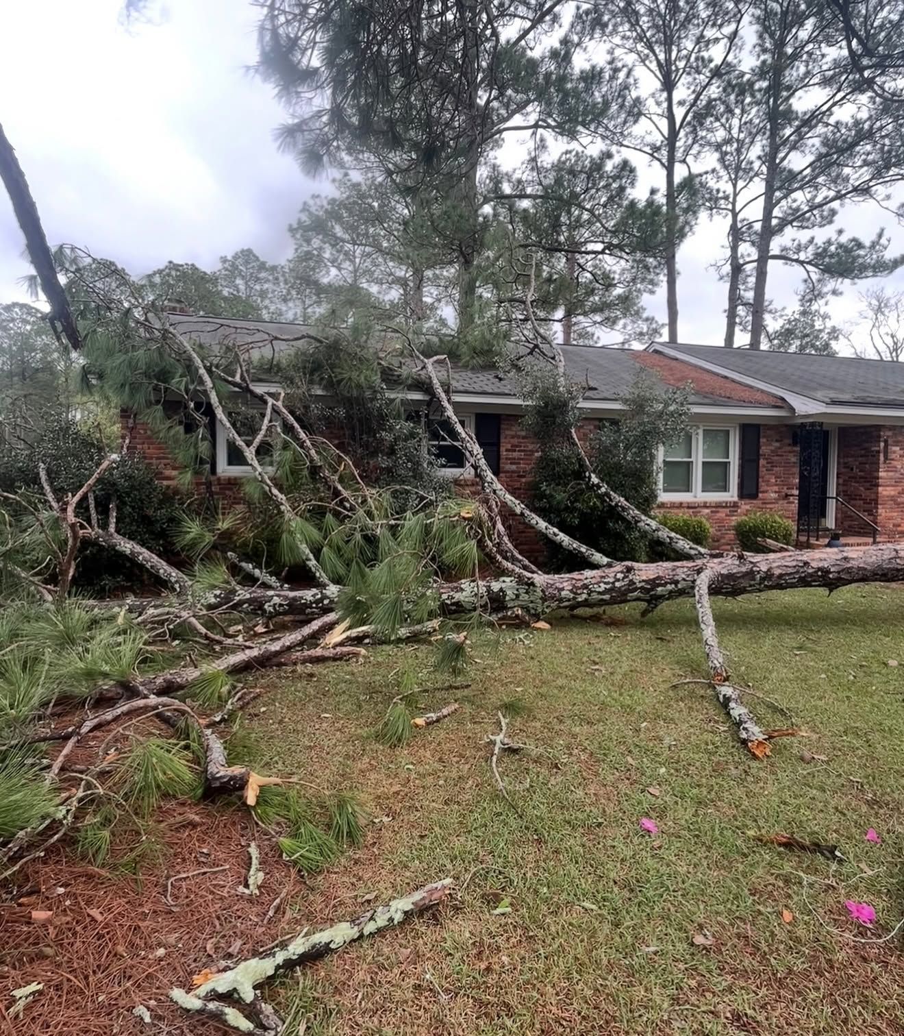 Storm-damaged house with fallen tree limbs across the roof and lawn in a wooded yard