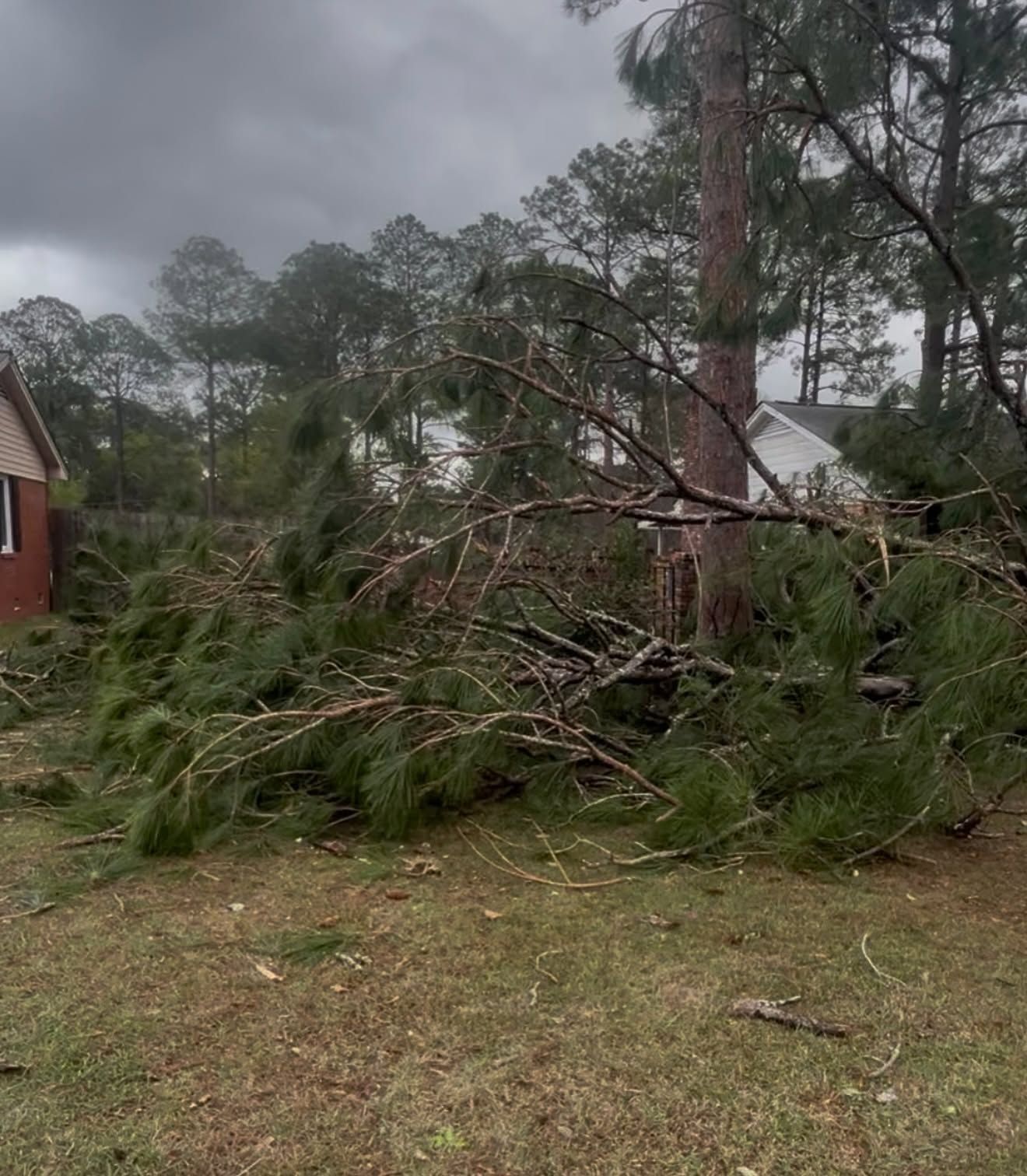 Storm-damaged yard with fallen tree limbs and pine branches beside houses under a gray sky