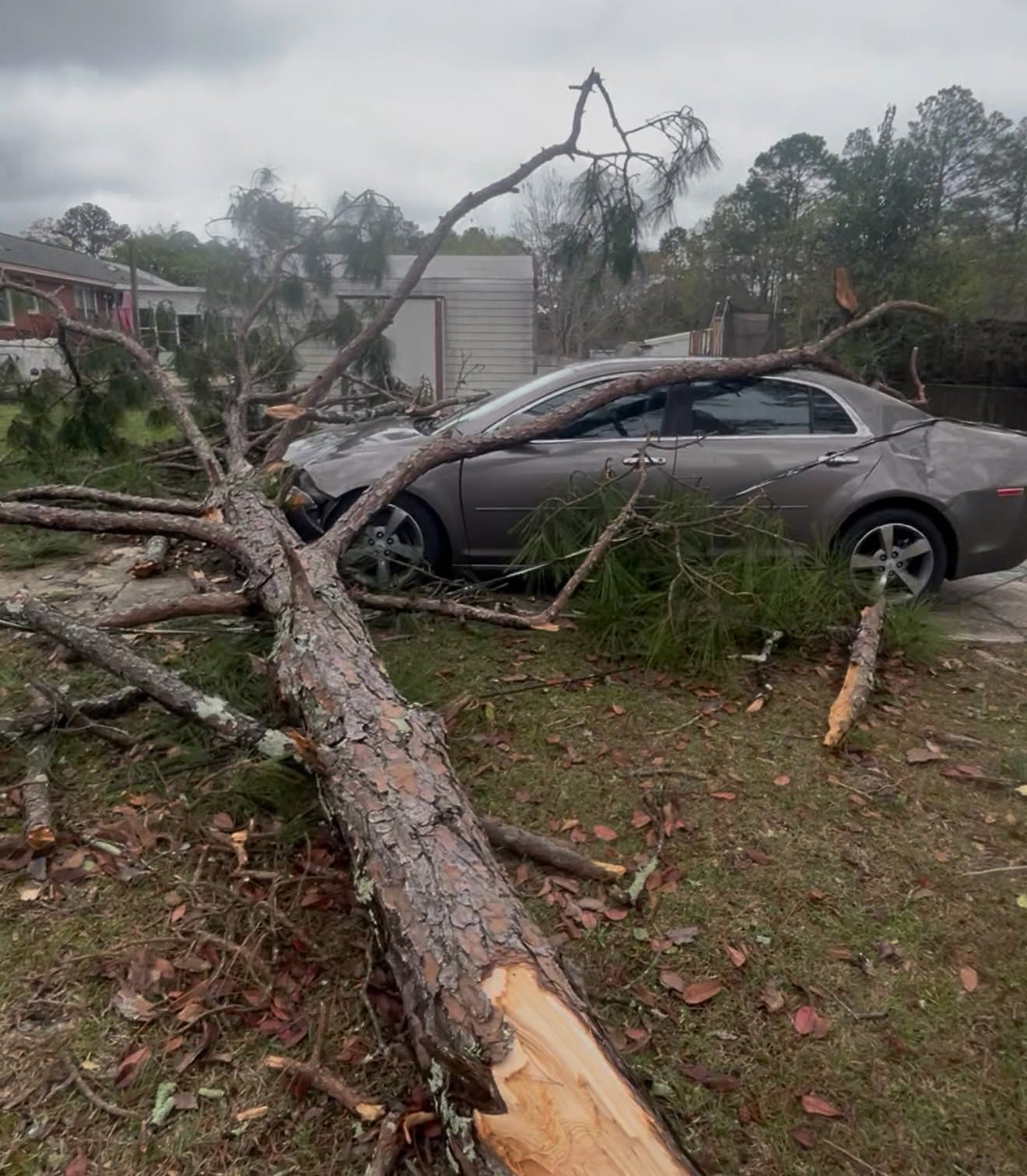 Storm-damaged gray car crushed by a fallen tree in a yard after severe weather