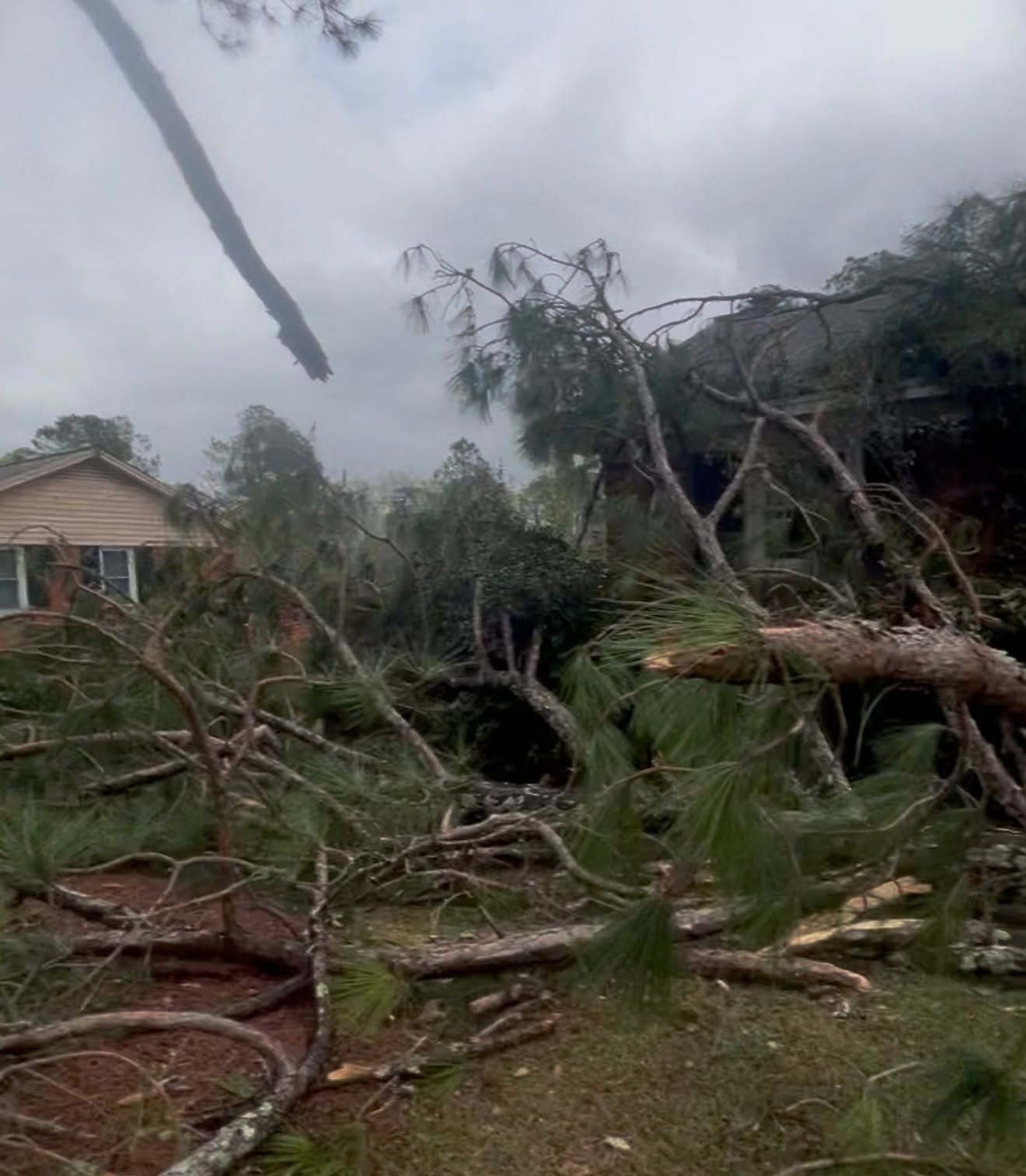 Storm-damaged yard with fallen trees, broken branches, and debris near a house under a gray sky