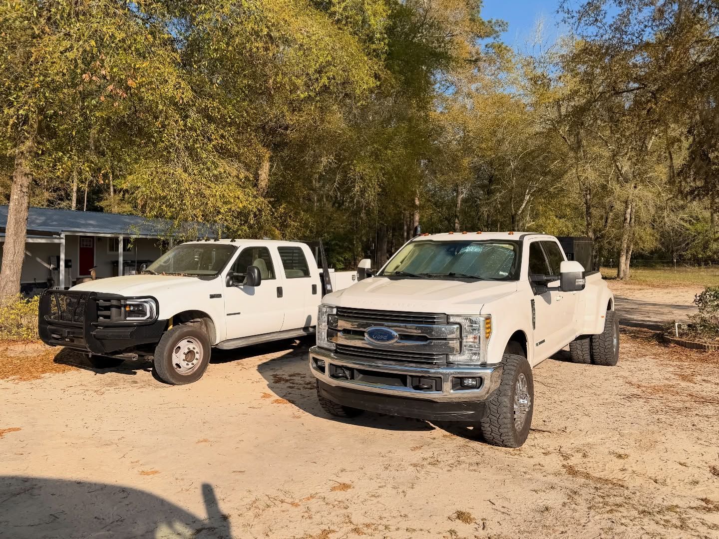 Two white pickup trucks parked on a dirt lot under trees near a small building.