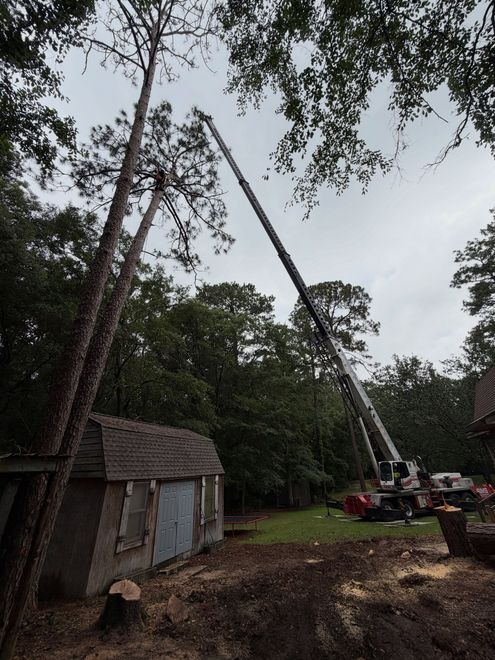 Crane lifting a long tree trunk beside a small shed in a wooded yard