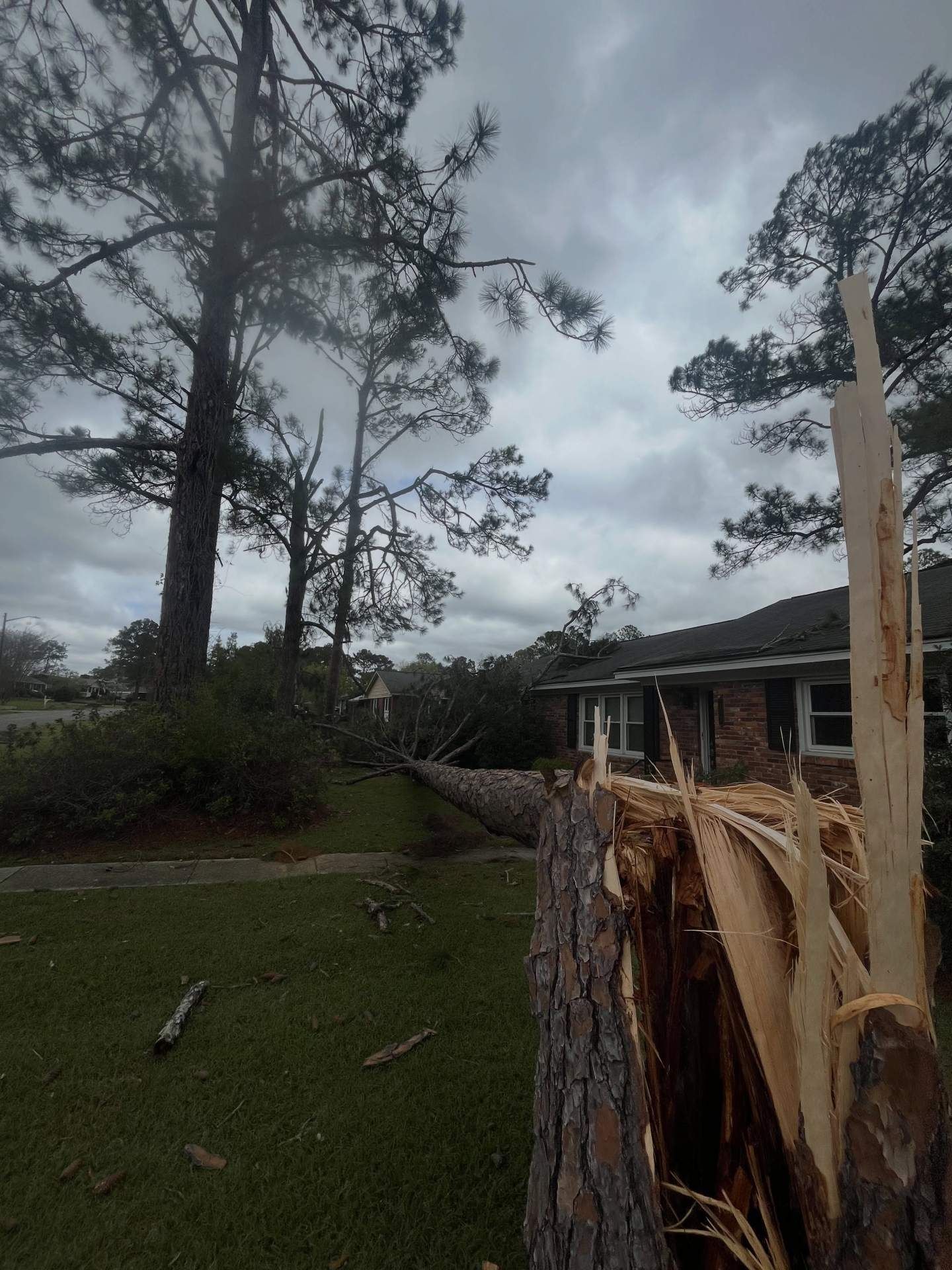 Storm-damaged backyard with a broken tree trunk in the foreground and a house under cloudy skies.