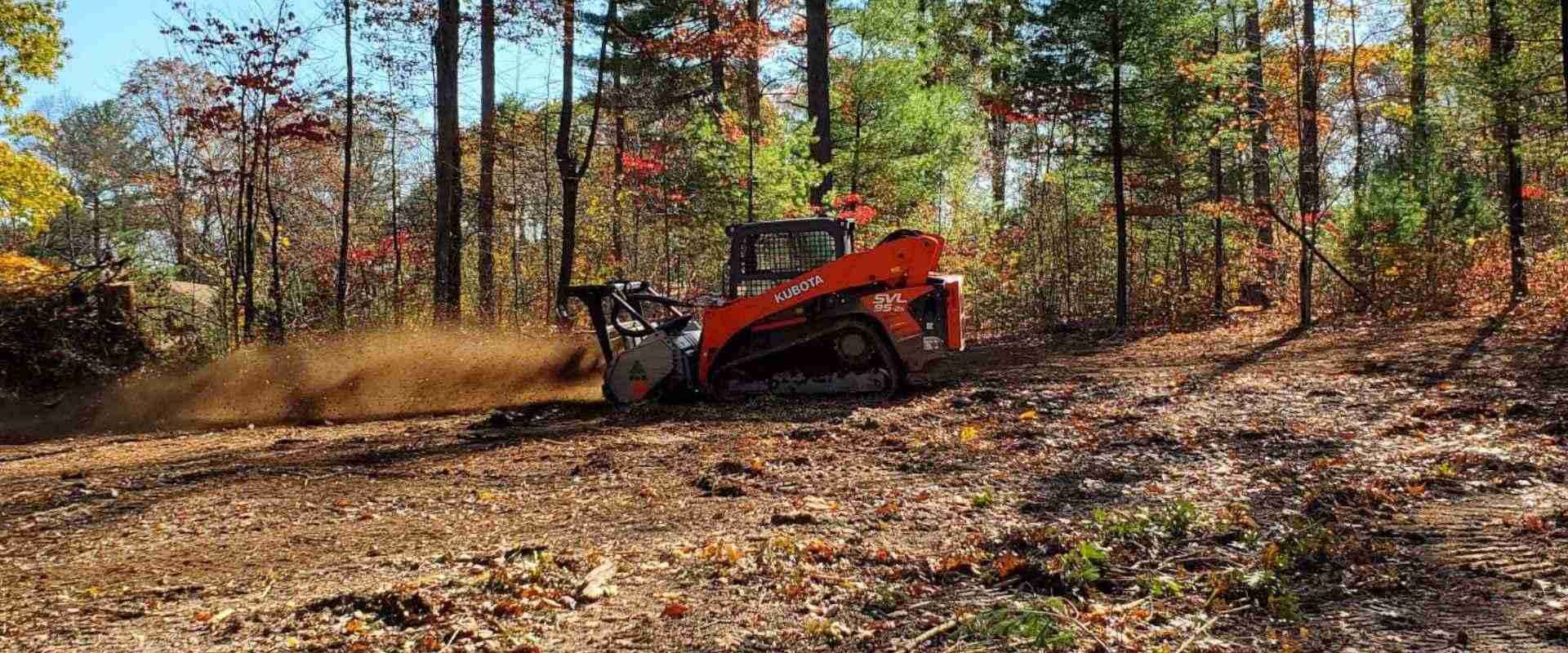 Orange skid steer moving dirt in a wooded forest clearing on a sunny day