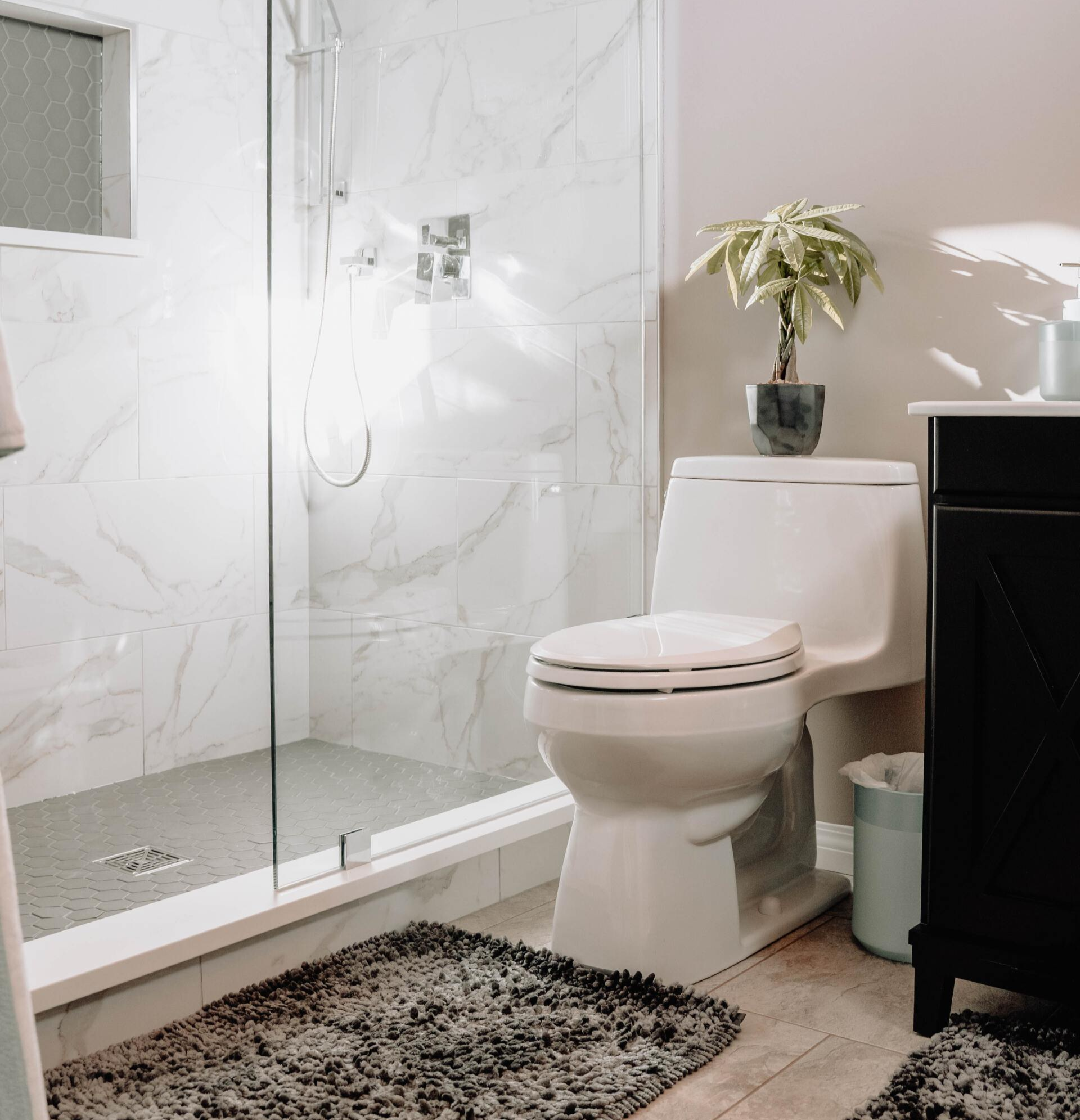 Modern toilet with walk-in shower