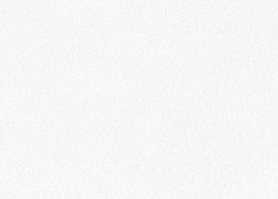 RT-9014 Lucky 5 white textured wall panel