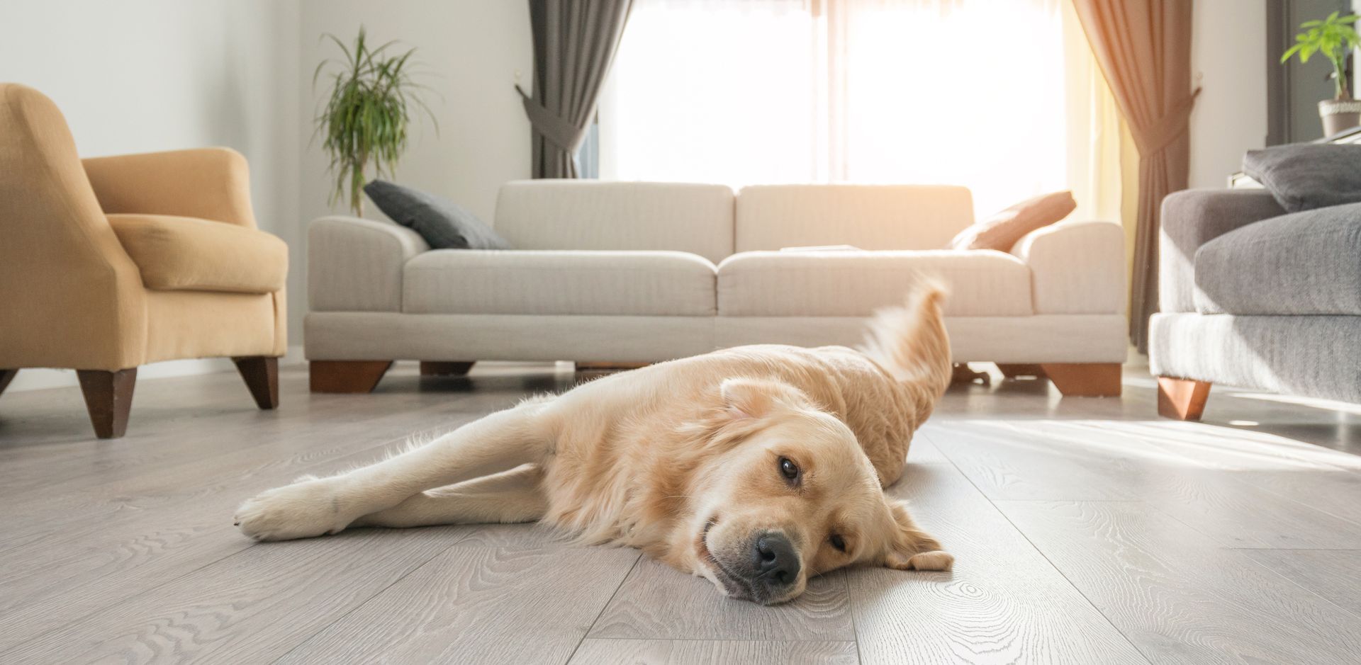 Hamilton Flooring