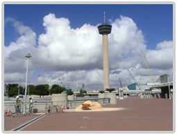Site Development