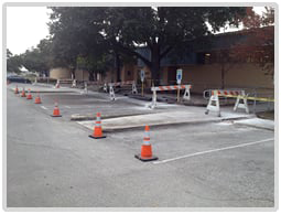 Site Development