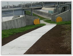 Site Development