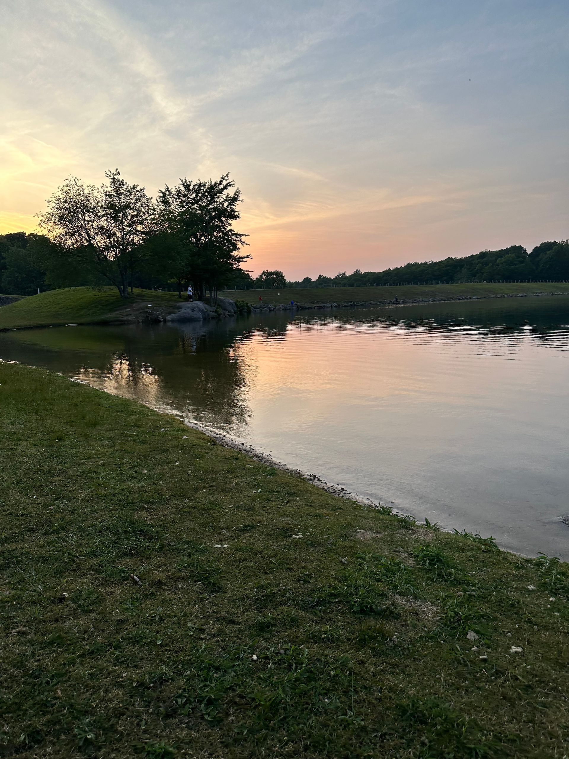 A peaceful lake at sunset with calm water, a grassy shoreline, and silhouetted trees against a soft, colorful sky.