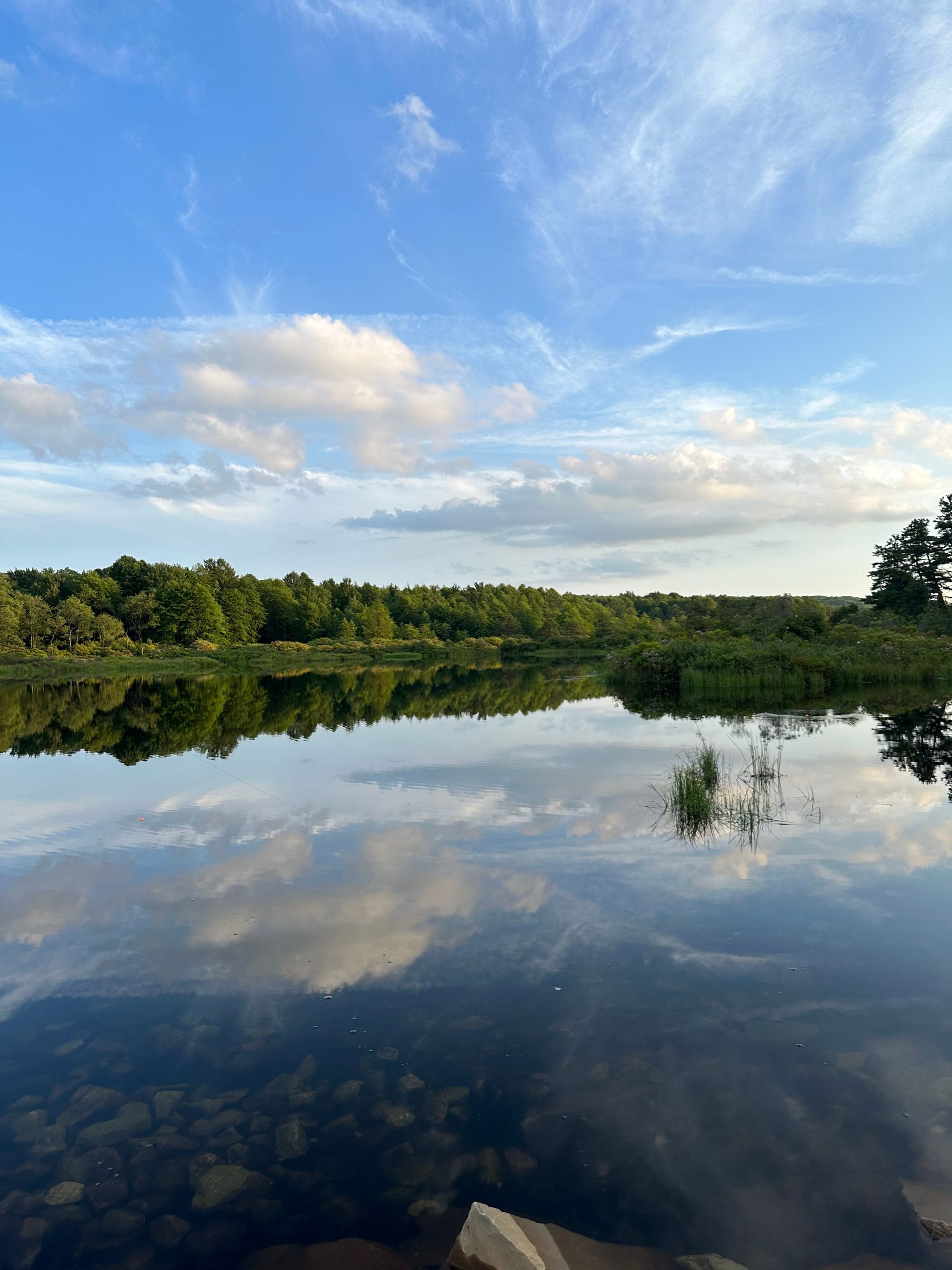 A calm river reflects the blue, cloud-filled sky and a line of lush green trees on the horizon under soft sunlight.