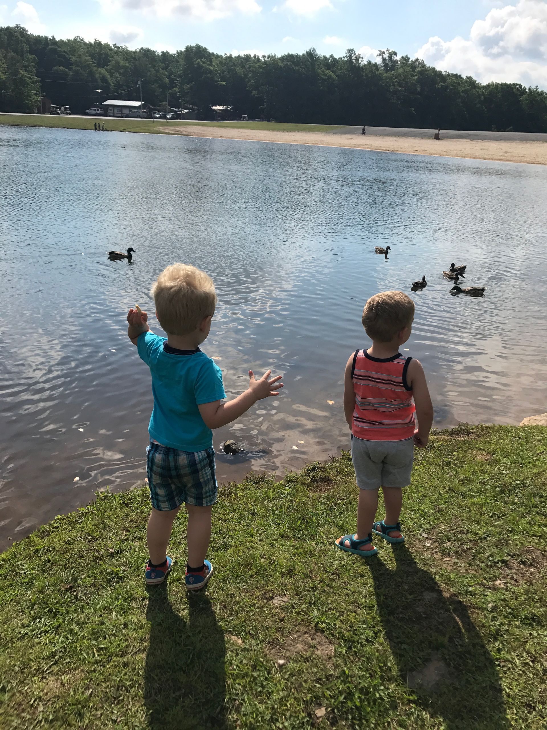 Two children stand by a lake, feeding ducks on a sunny day.