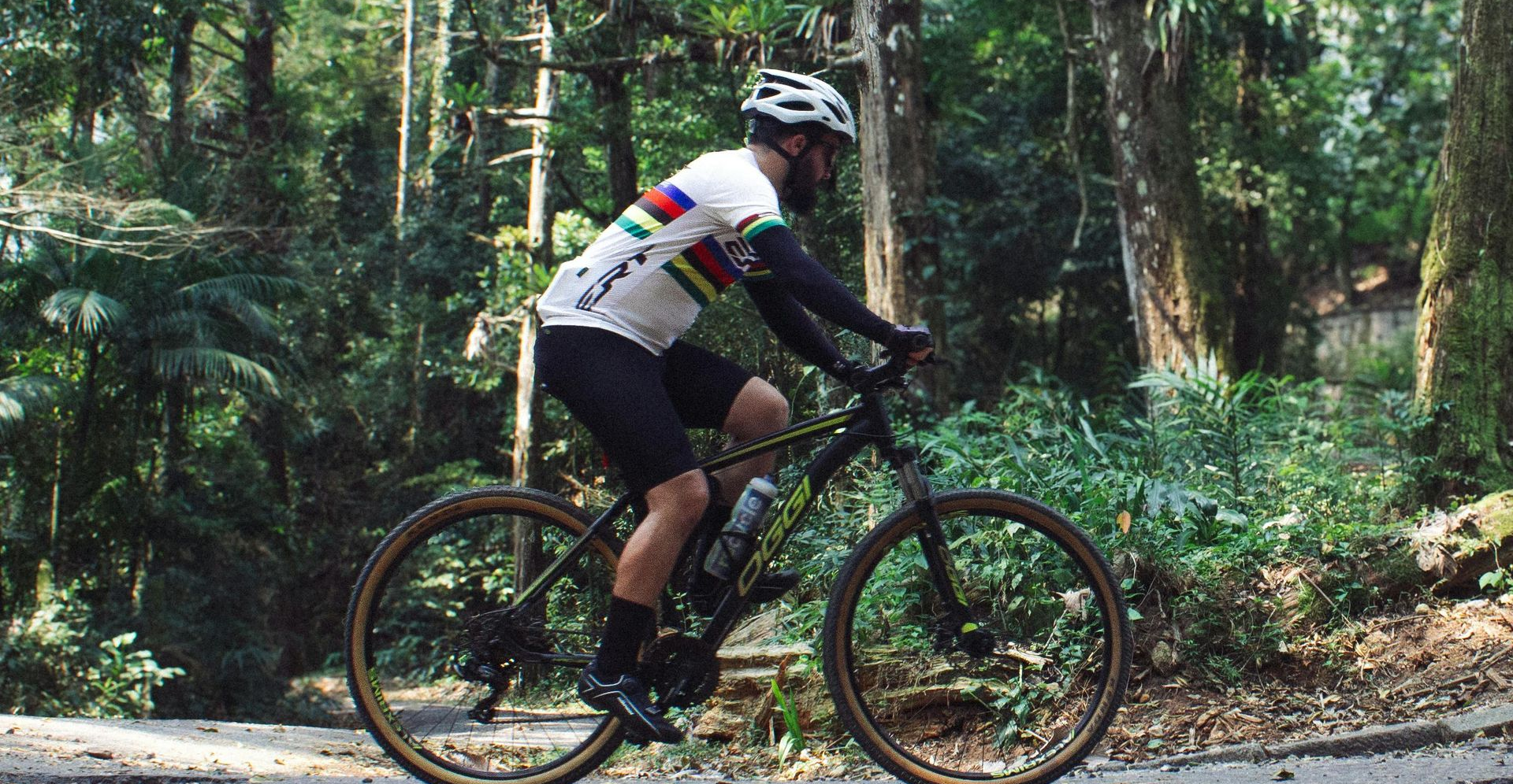 A cyclist in a white jersey and helmet rides a mountain bike along a path through a dense, green forest.