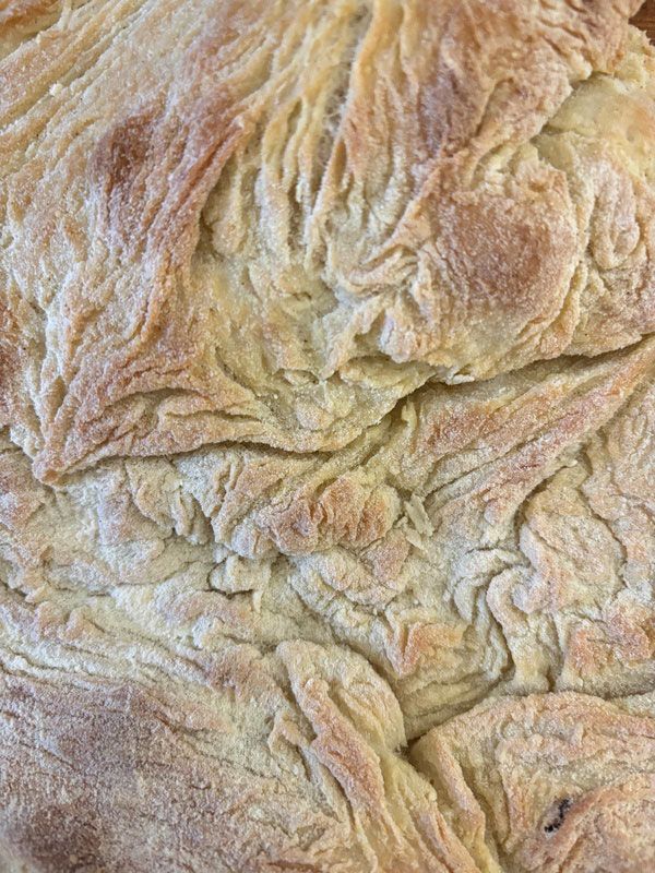 SCHIACCIATACCIA