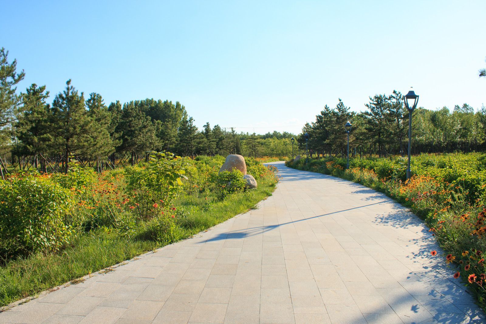 Curving paved path through a sunny green park with trees, shrubs, and a clear blue sky