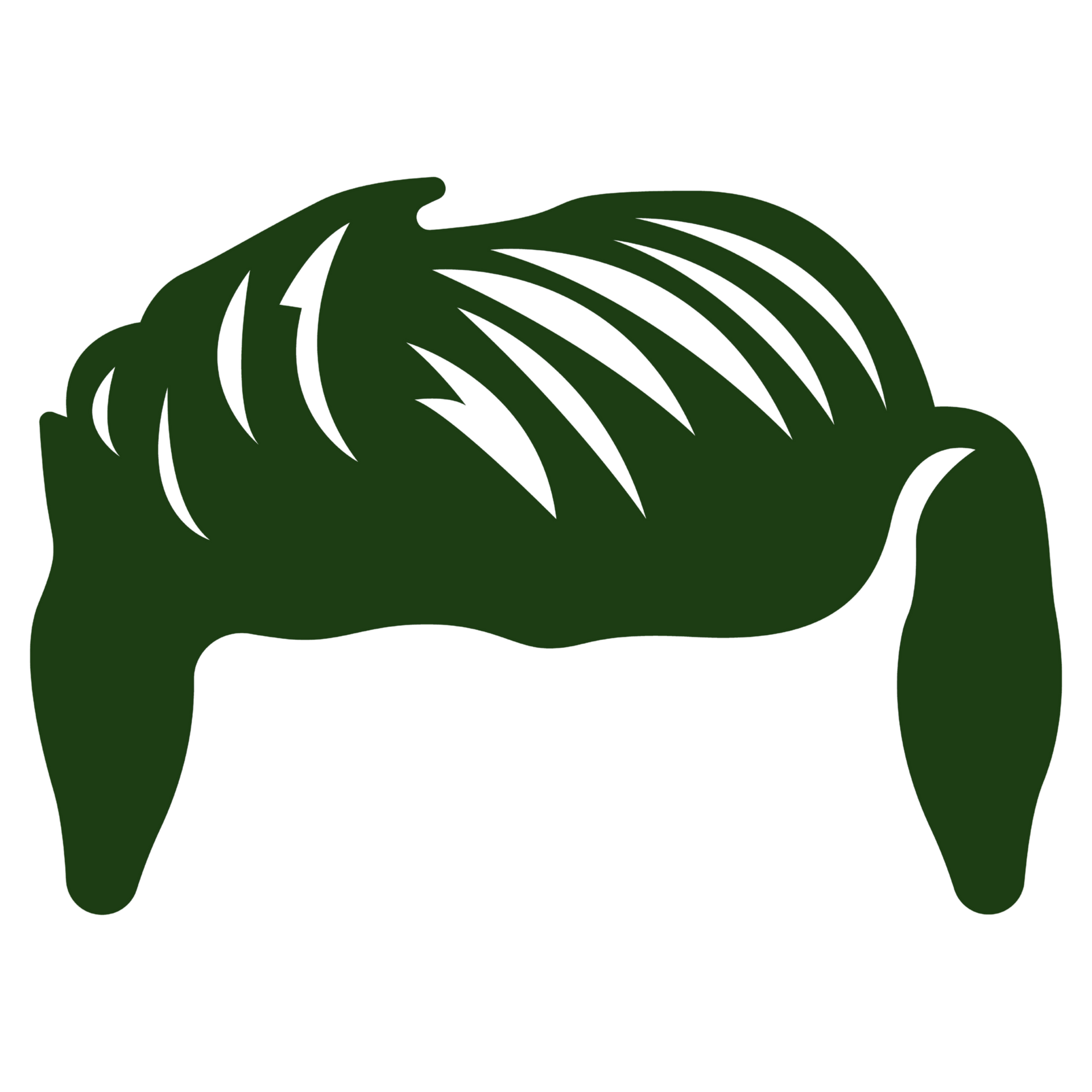 Dark green stylized hair logo with side locks Fields Ferguson Favicon