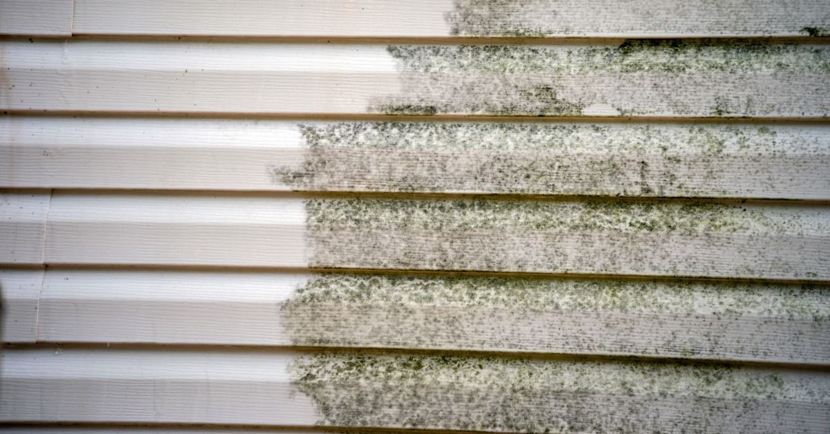 Dark mold spreads across the right side of white vinyl siding while the left side remains visibly cleaner.