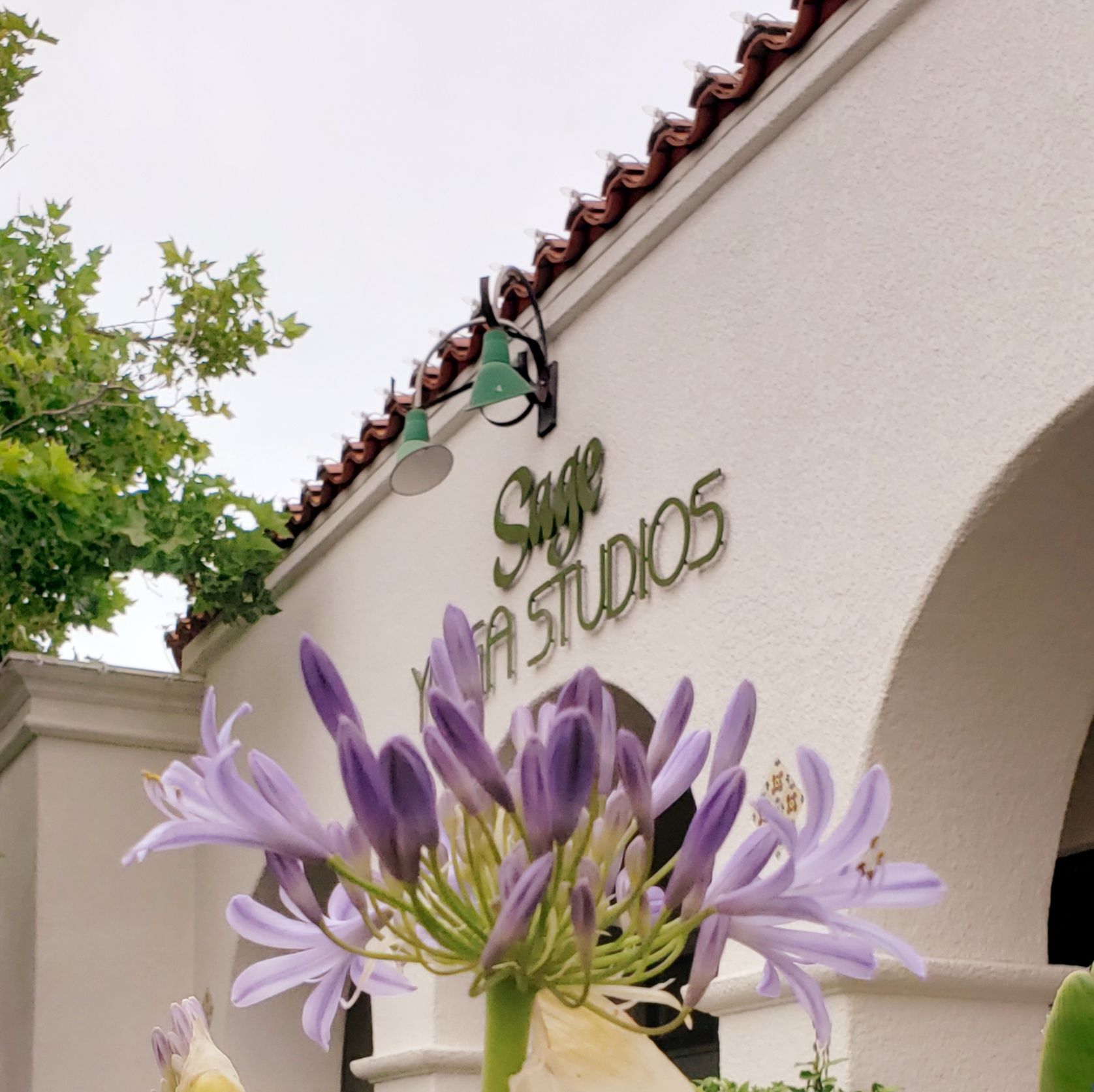 to Sage Yoga Studios. We are Located in Fallbrook and Bonsall!