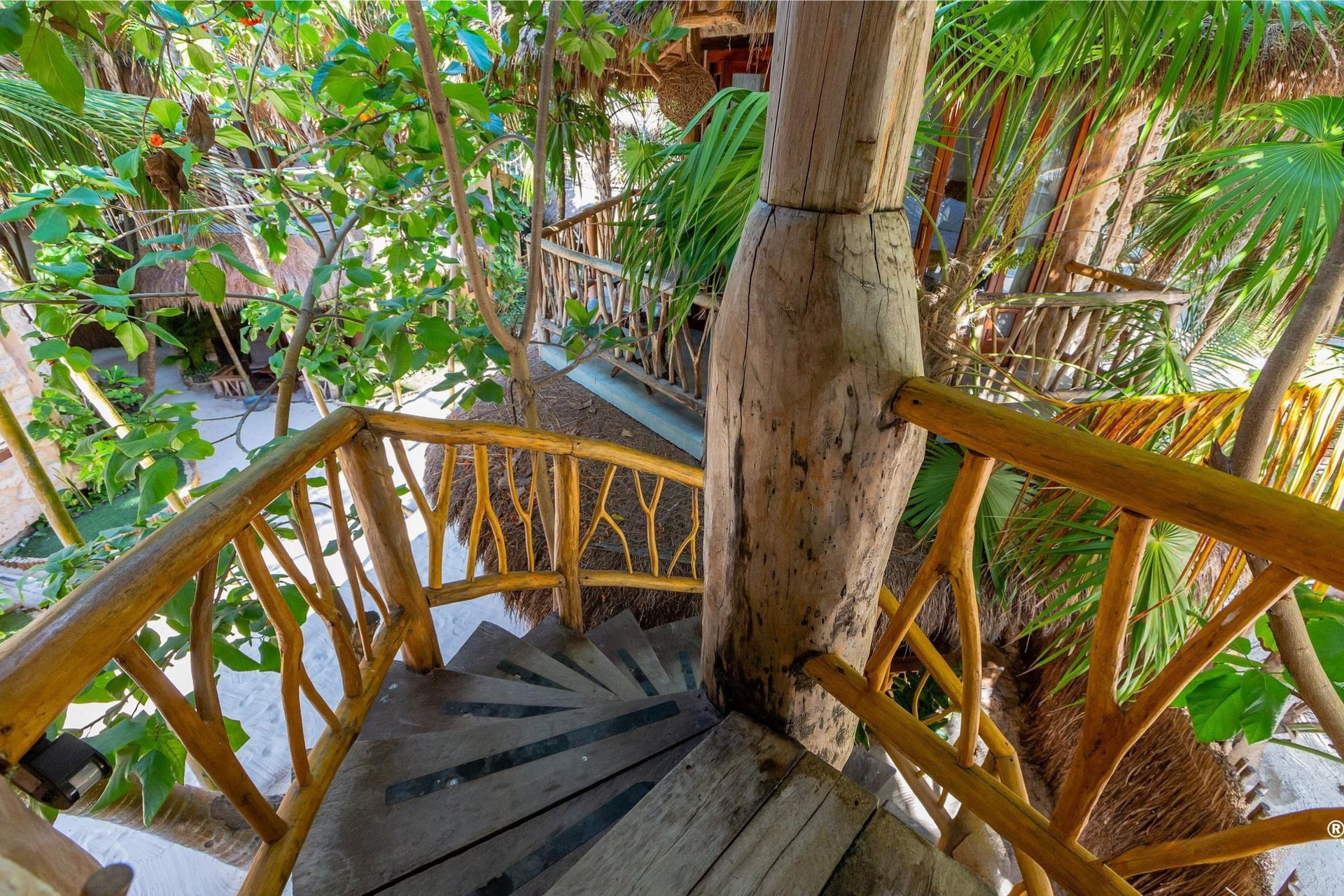 Wooden spiral staircase with tree trunk support, surrounded by lush tropical vegetation.