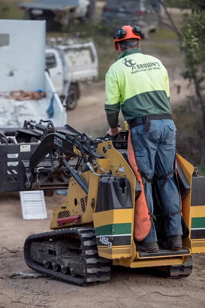 Person Operating a Yellow Mini-skid Steer Loader in an Outdoor Area — Brown's Professional Tree Service in Curra, QLD