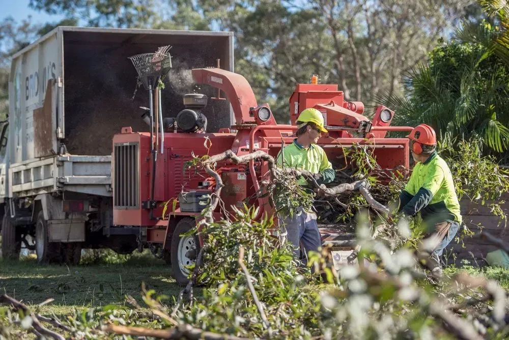 Two Workers Feeding Branches Into a Red Wood Chipper Near a Truck — Brown's Professional Tree Service in Curra, QLD