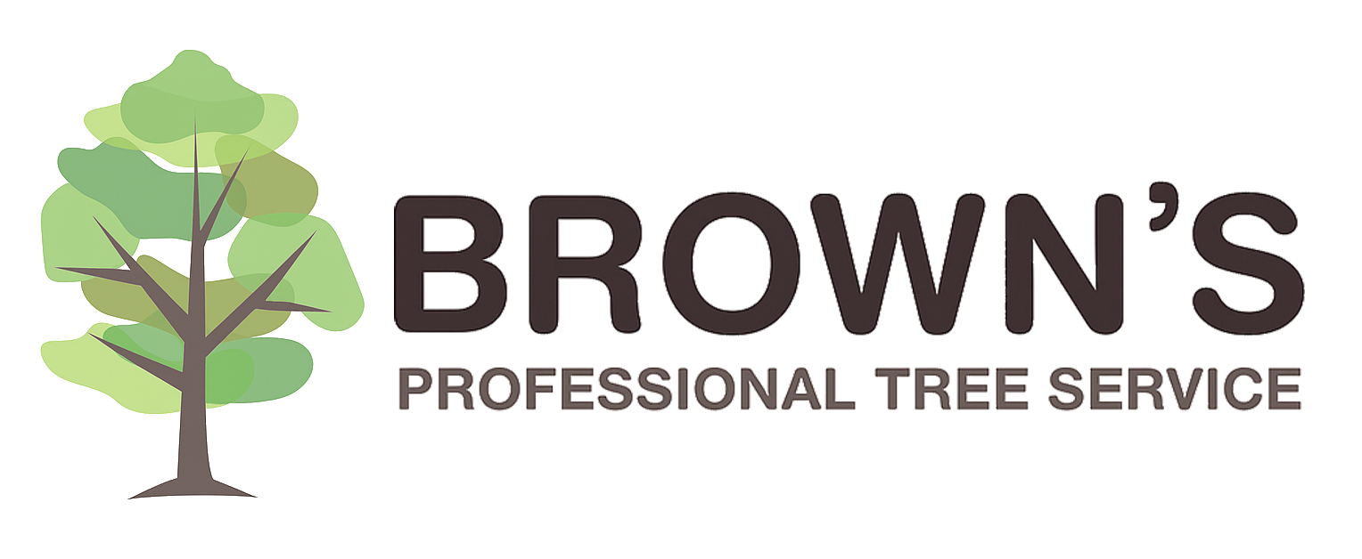Arborist in Gympie Arborist in Gympie
