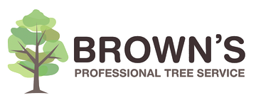Arborist in Gympie