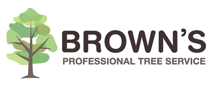 Arborist in Gympie