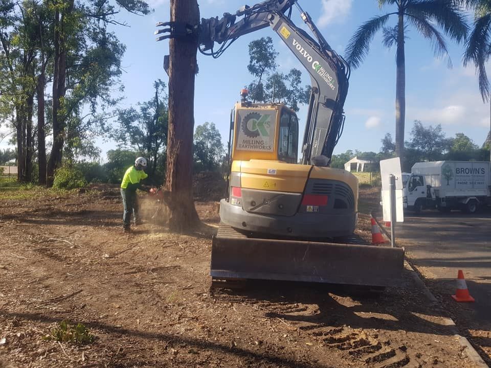 A Person Using a Chainsaw and An Excavator Removing a Tree — Brown's Professional Tree Service In Pie Creek, QLD